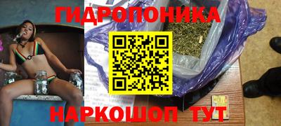 сатива Краснодар