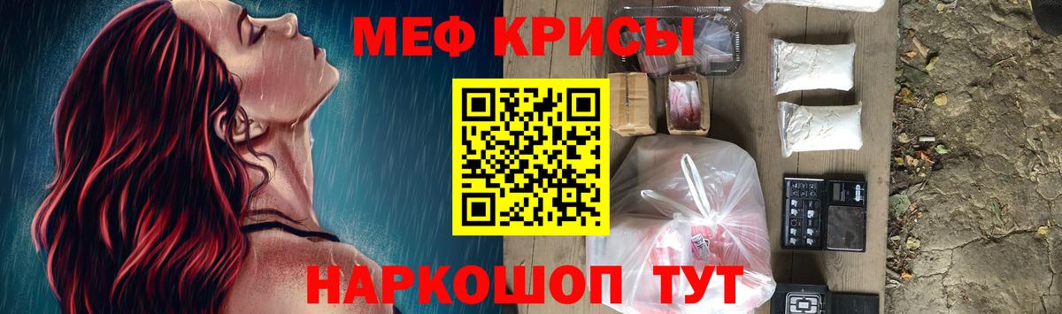 МЕФ  Кингисепп