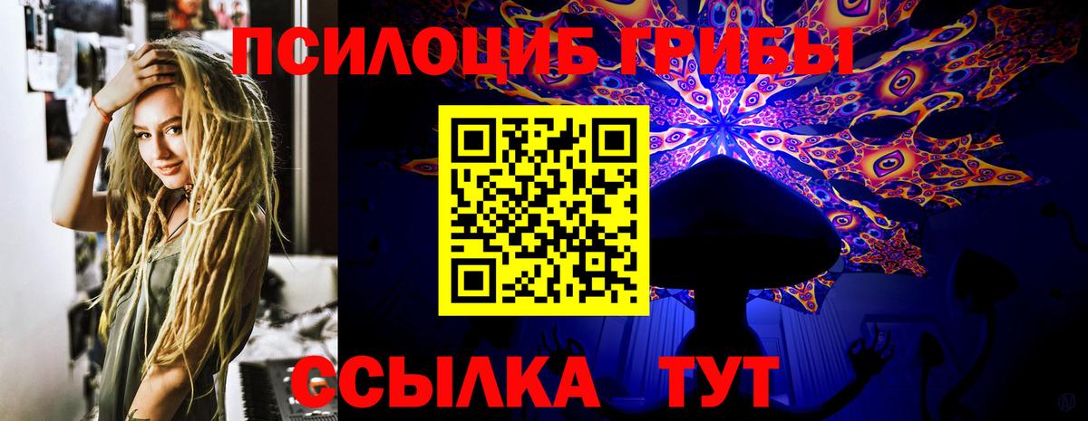 Галлюциногенные грибы MAGIC MUSHROOMS  Псилоцибиновые грибы мицелий  Вход с VPN  Кингисепп 